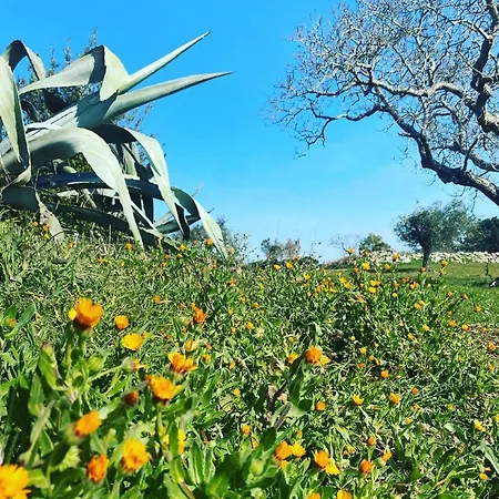 Masseria Limone Martina Franca